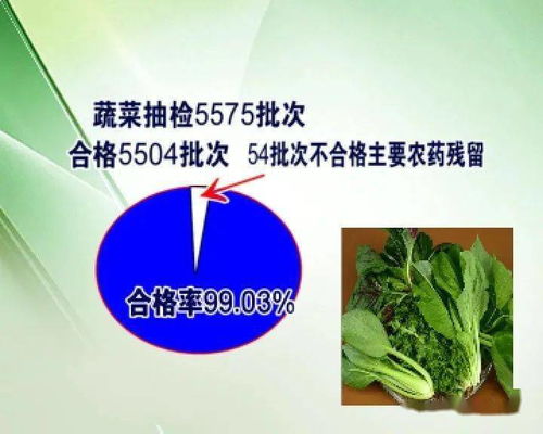 食品药品监管视窗 总体合格率98.94 大沥7月份农产品快检结果良好